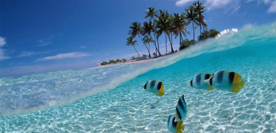 Explore Bali Holiday at just ₹ 25,000.00 with https://expeditionelite.in