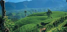 Explore Discover Sri Lanka at just ₹ 17,500.00 with https://expeditionelite.in