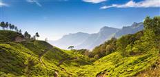 Explore Kerala: God’s Own Country at just ₹ 14,000.00 with https://expeditionelite.in